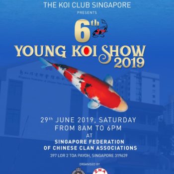 6th Young Koi Show 2019