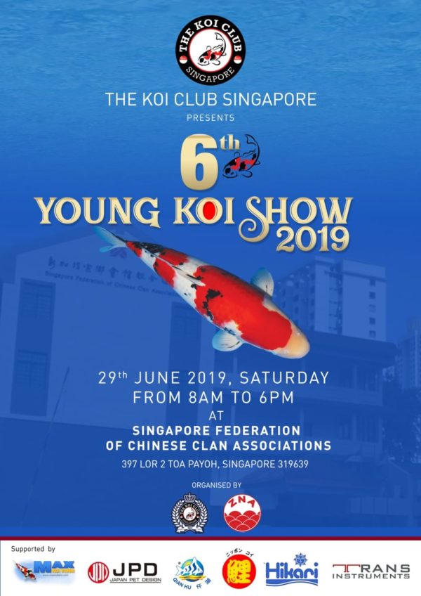 6th Young Koi Show 2019